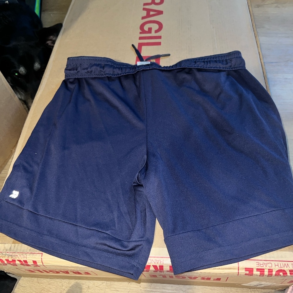 All in motion Men's Navy Shorts